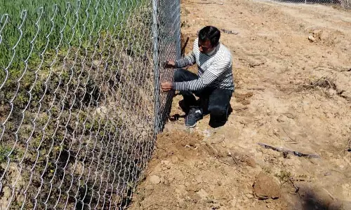 Kangra में फल उगाने वालों की इनकम बढ़ाने के लिए प्रोजेक्ट में पांच और हॉर्टिकल्चर ब्लॉक शामिल होंगे Kangra में फल उगाने वालों की इनकम बढ़ाने के लिए प्रोजेक्ट में पांच और हॉर्टिकल्चर ब्लॉक शामिल होंगे