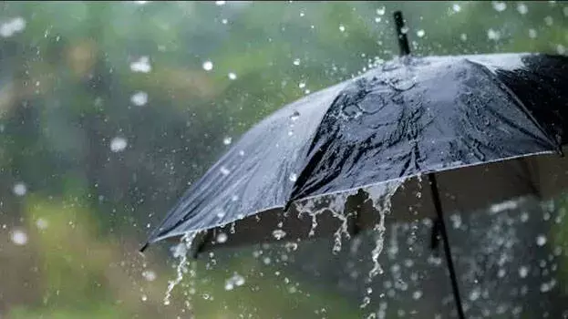 Kerala: तेज गर्मी से राहत! तिरुवनंतपुरम, एर्नाकुलम में बारिश की संभावना; IMD का अनुमान Kerala: तेज गर्मी से राहत! तिरुवनंतपुरम, एर्नाकुलम में बारिश की संभावना; IMD का अनुमान