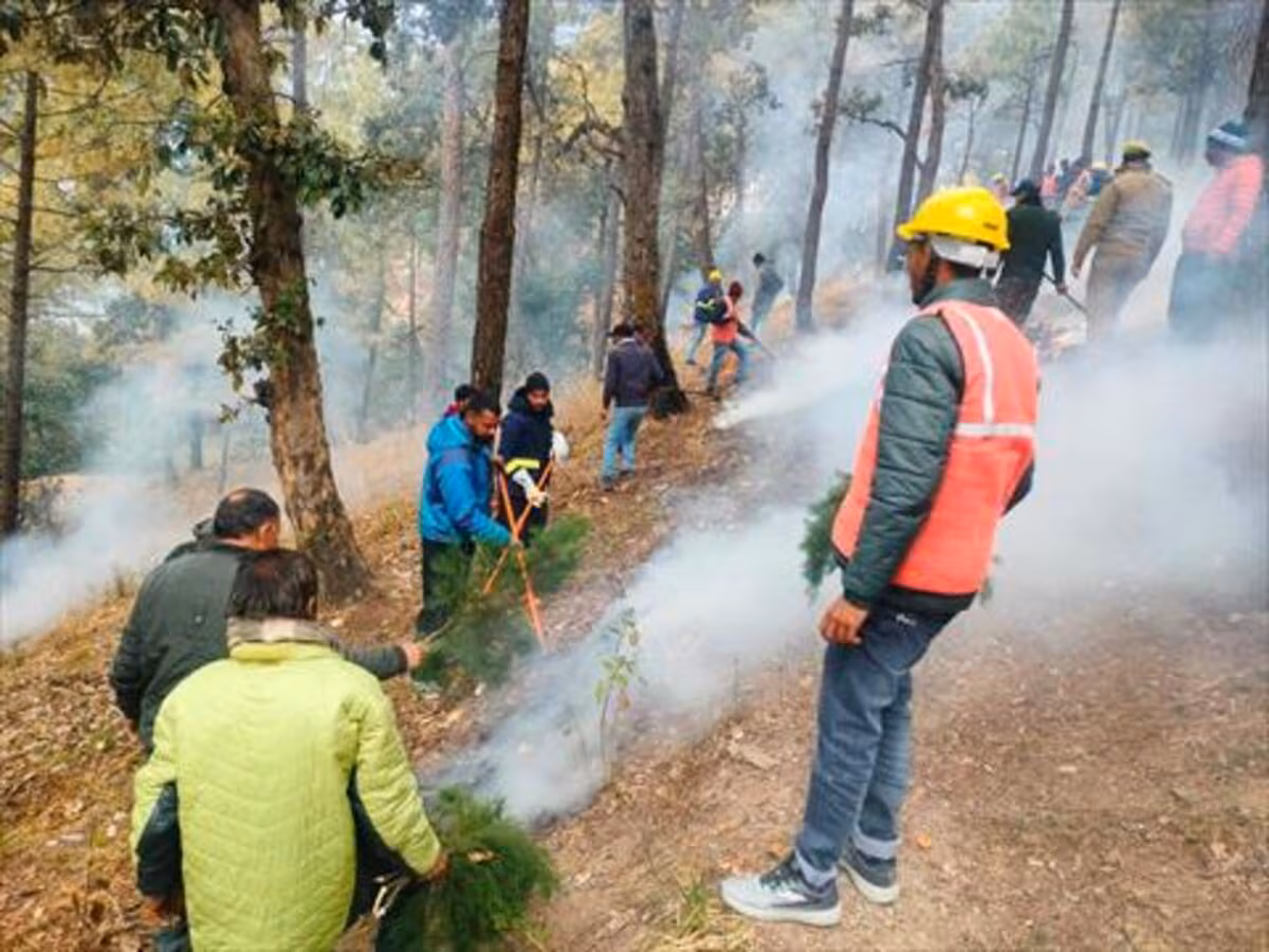 Nainital: नैनीताल में वन सुरक्षा और अग्नि नियंत्रण ड्रिल Nainital: नैनीताल में वन सुरक्षा और अग्नि नियंत्रण ड्रिल