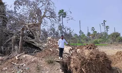 Rajanna Sircilla में पेड़ों और पहाड़ियों को नुकसान का आरोप Rajanna Sircilla में पेड़ों और पहाड़ियों को नुकसान का आरोप