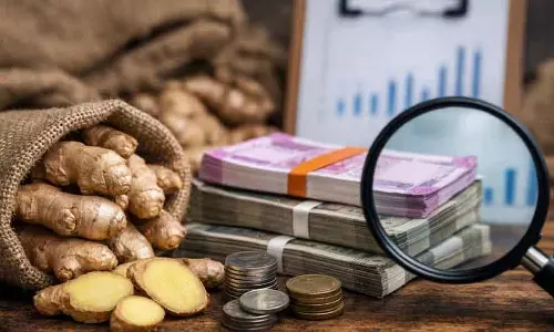Mizoram में अदरक सपोर्ट प्राइस घोटाले की कोशिश नाकाम
