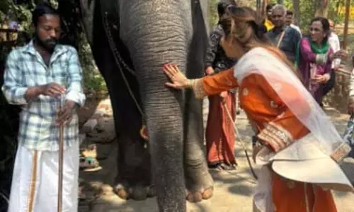 मधु शाह ने हाथी को बताया अपना पसंदीदा जानवर, सोशल मीडिया पर किया इमोशनल पोस्ट मधु शाह ने हाथी को बताया अपना पसंदीदा जानवर, सोशल मीडिया पर किया इमोशनल पोस्ट