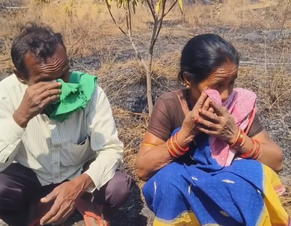 Odisha: 200 आम के पेड़ों में आग लगने से किसान संकट में