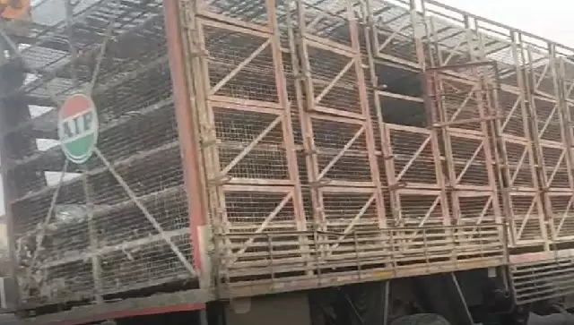 Bhubaneswar: ऐगानिया में सड़क दुर्घटना में 3 हजार बत्तखों की मौत Bhubaneswar: ऐगानिया में सड़क दुर्घटना में 3 हजार बत्तखों की मौत