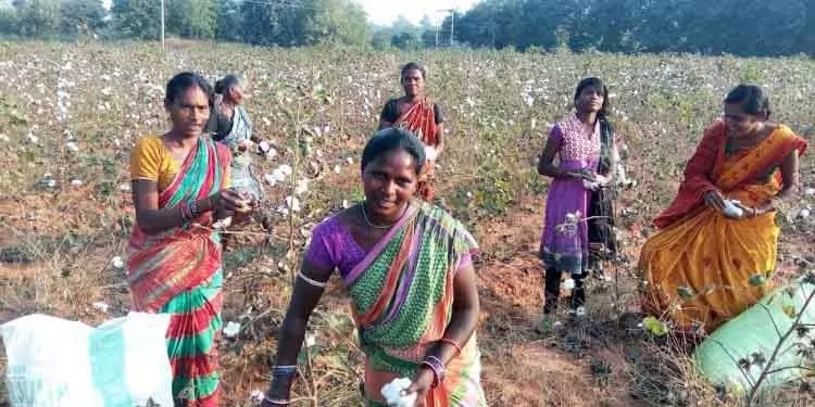 घोषणा के छह महीने बाद भी बोलंगीर के लिए टेक्सटाइल पार्क अधर में घोषणा के छह महीने बाद भी बोलंगीर के लिए टेक्सटाइल पार्क अधर में