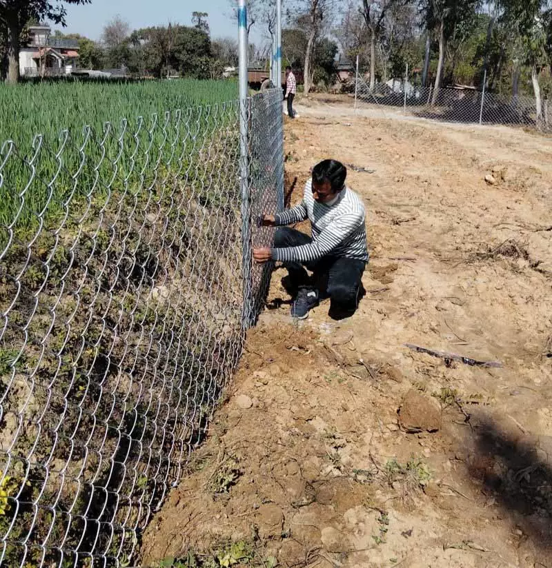 Kangra में फल उगाने वालों की इनकम बढ़ाने के लिए प्रोजेक्ट में पांच और हॉर्टिकल्चर ब्लॉक शामिल होंगे Kangra में फल उगाने वालों की इनकम बढ़ाने के लिए प्रोजेक्ट में पांच और हॉर्टिकल्चर ब्लॉक शामिल होंगे