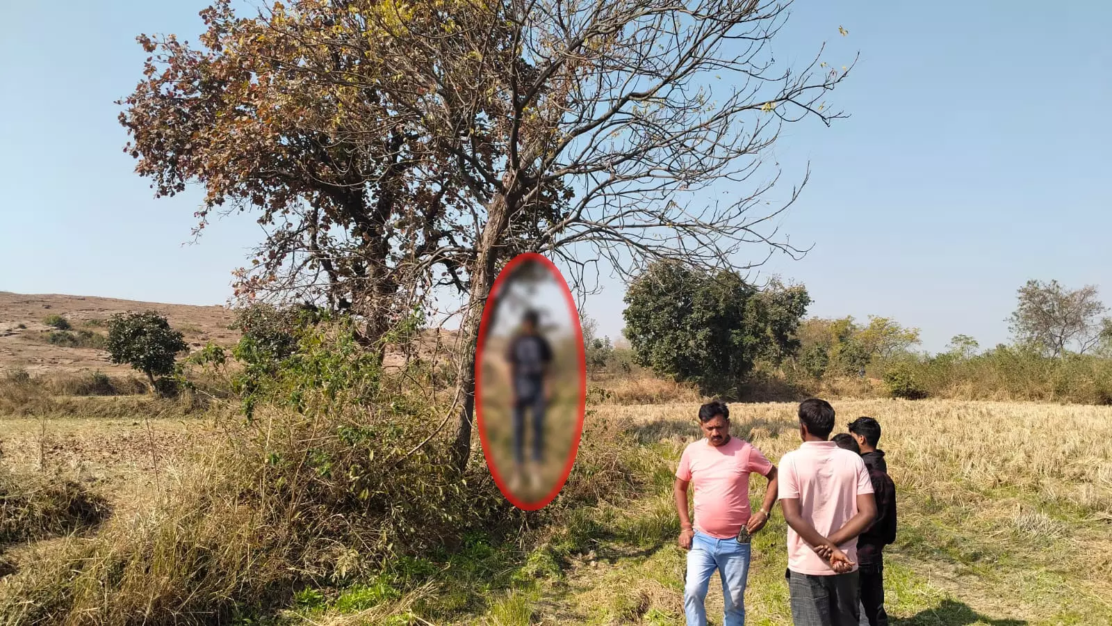 CG: खेत में पेड़ से लटकी मिली युवक की लाश, फैली सनसनी CG: खेत में पेड़ से लटकी मिली युवक की लाश, फैली सनसनी