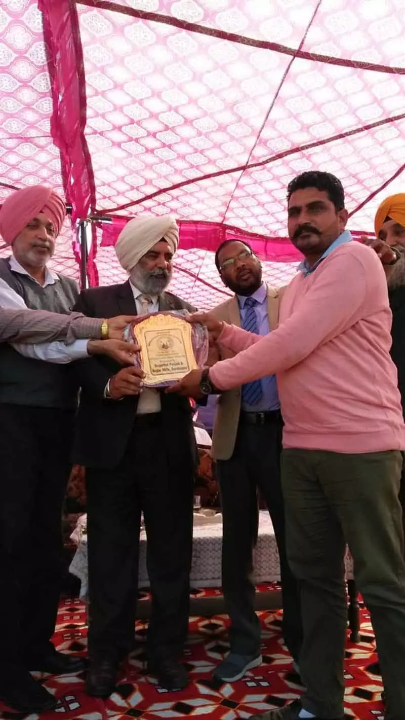 Ajnala के किसान ने अपने खेतों में फसल विविधीकरण करके मुनाफा कमाया और पहचान बनाई Ajnala के किसान ने अपने खेतों में फसल विविधीकरण करके मुनाफा कमाया और पहचान बनाई