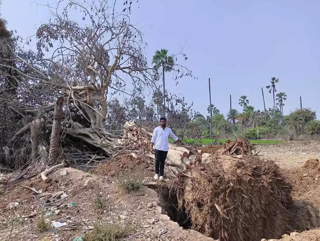 Rajanna Sircilla में पेड़ों और पहाड़ियों को नुकसान का आरोप Rajanna Sircilla में पेड़ों और पहाड़ियों को नुकसान का आरोप