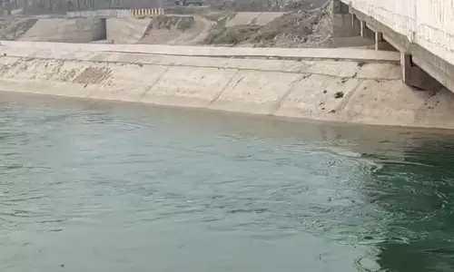 Yamunanagar: नहर में भाई को डूबता देख दूसरे ने लगाई छलांग,तलाश में जुटे गोताखोर Yamunanagar: नहर में भाई को डूबता देख दूसरे ने लगाई छलांग,तलाश में जुटे गोताखोर