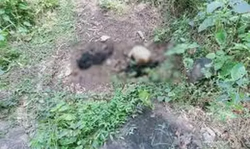 Rewa: जंगल में बोरे में कंकाल मिलने से सनसनी Rewa: जंगल में बोरे में कंकाल मिलने से सनसनी