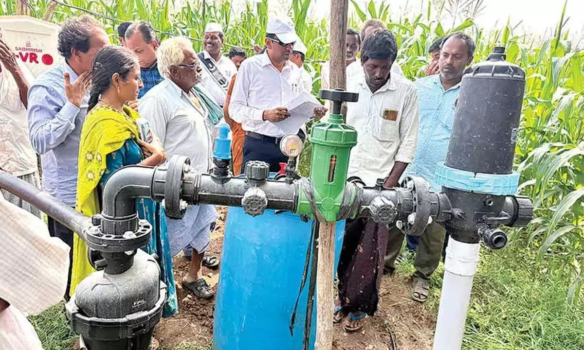 माइक्रो इरिगेशन के कई फायदे हैं: Collector