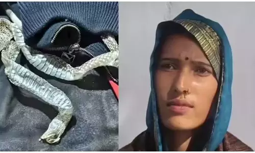कोर्ट में नागिन का यू टर्न, गजब फिल्मी ड्रामा किया था कोर्ट में नागिन का यू टर्न, गजब फिल्मी ड्रामा किया था