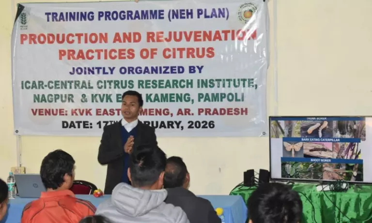 Arunachal के संतरा बागानों के पुनर्जीवन के लिए पंपोली की पहल तेज Arunachal के संतरा बागानों के पुनर्जीवन के लिए पंपोली की पहल तेज