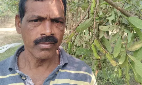 टसर कृमिपालन ने बदली तकदीर, ध्रुवकुमार बने आत्मनिर्भर, पलायन से मिली मुक्ति टसर कृमिपालन ने बदली तकदीर, ध्रुवकुमार बने आत्मनिर्भर, पलायन से मिली मुक्ति
