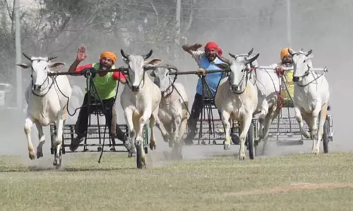 Ludhiana: किला रायपुर गेम्स के दूसरे दिन भी दर्शकों की भीड़ उमड़ी