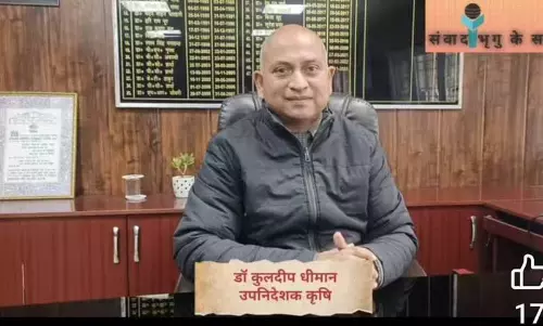 Himachal: किसानों को सलाह दी, कि वे खाद, बीज सिर्फ़ ऑथराइज़्ड वेंडर से ही खरीदें