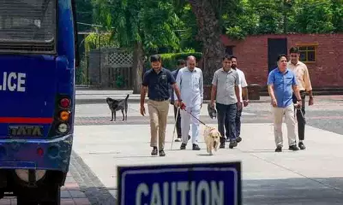CBSE परीक्षा के बीच नोएडा के 12 और दिल्ली के 3 स्कूलों को बम की धमकी मिली CBSE परीक्षा के बीच नोएडा के 12 और दिल्ली के 3 स्कूलों को बम की धमकी मिली