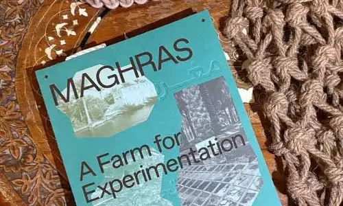 अल-अहसा मेंMaghras: एक्सपेरिमेंट के लिए नया फार्म लॉन्च