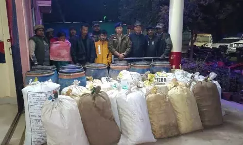 Tripura में पुलिस ने रेड में 138 किलो गांजा ज़ब्त किया, 6 गिरफ्तार
