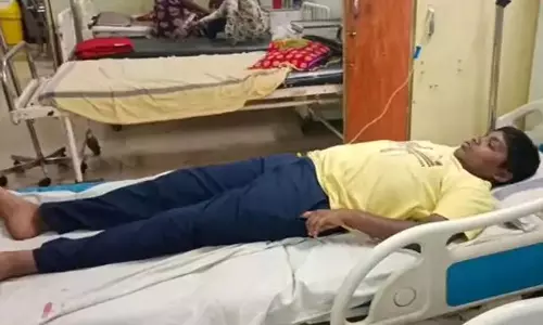 रुद्री रोड पर मधुमक्खियों का कहर: छात्र, शिक्षक समेत 5 घायल, एक की हालत गंभीर रुद्री रोड पर मधुमक्खियों का कहर: छात्र, शिक्षक समेत 5 घायल, एक की हालत गंभीर