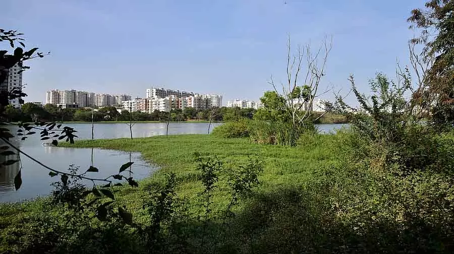 Karnataka : क्षेत्रफल के आधार पर झीलों के बफर जोन को छोटा करने के लिए कानून को अधिसूचित किया Karnataka : क्षेत्रफल के आधार पर झीलों के बफर जोन को छोटा करने के लिए कानून को अधिसूचित किया