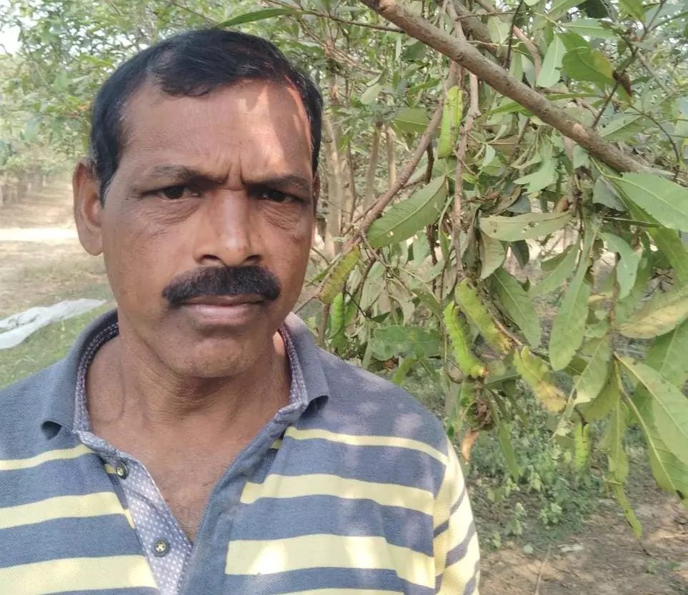 टसर कृमिपालन ने बदली तकदीर, ध्रुवकुमार बने आत्मनिर्भर, पलायन से मिली मुक्ति टसर कृमिपालन ने बदली तकदीर, ध्रुवकुमार बने आत्मनिर्भर, पलायन से मिली मुक्ति