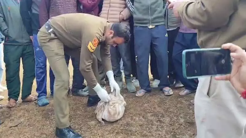 खोली पंचायत में सडक़ किनारे मिला नवजात का शव खोली पंचायत में सडक़ किनारे मिला नवजात का शव