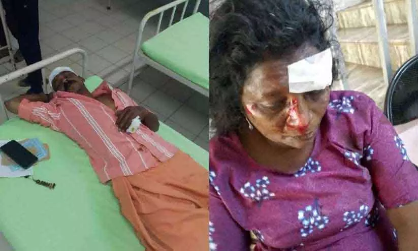 Kerala : जंगली सूअर के हमले में दंपत्ति घायल Kerala : जंगली सूअर के हमले में दंपत्ति घायल