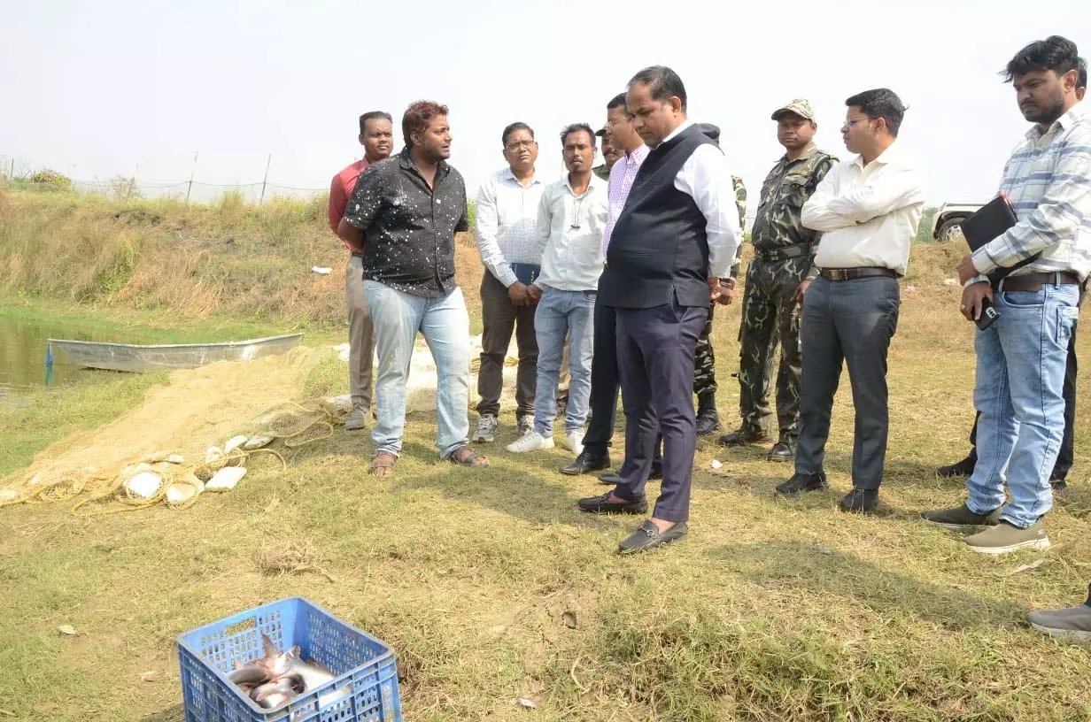 कलेक्टर ने किया सेजबहार में मत्स्य पालन का अवलोकन कलेक्टर ने किया सेजबहार में मत्स्य पालन का अवलोकन