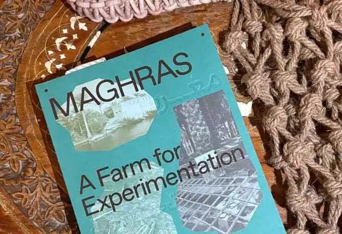 अल-अहसा मेंMaghras: एक्सपेरिमेंट के लिए नया फार्म लॉन्च अल-अहसा मेंMaghras: एक्सपेरिमेंट के लिए नया फार्म लॉन्च