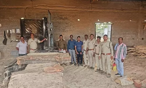 कीमती प्रजाति की लकड़ी जब्त, वन विभाग ने अवैध भंडारण पर लिया एक्शन