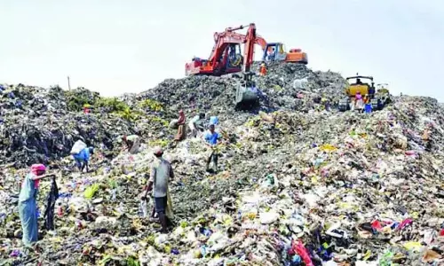 Mumbai : मुलुंड डंपिंग ग्राउंड तीसरी डेडलाइन से चूका; BMC की नज़र अप्रैल के टारगेट पर Mumbai : मुलुंड डंपिंग ग्राउंड तीसरी डेडलाइन से चूका; BMC की नज़र अप्रैल के टारगेट पर