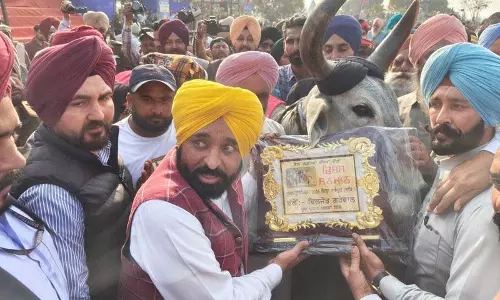 किला रायपुर गेम्स, Punjab CM ने उस बैल को सम्मानित किया जिसने दो साल तक इनाम जीते किला रायपुर गेम्स, Punjab CM ने उस बैल को सम्मानित किया जिसने दो साल तक इनाम जीते