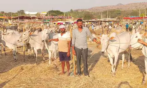 Karnataka: मधुगिरी मेले में गांव की कारों की खरीदारी में उछाल