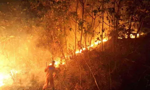 Kerala : कोडास्सेरी पंचायत के पीलारमुझी में आग लग गई Kerala : कोडास्सेरी पंचायत के पीलारमुझी में आग लग गई