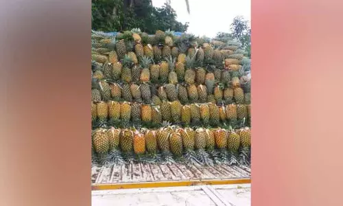 Ramadan Market ; अनानास के दाम आसमान छू रहे हैं