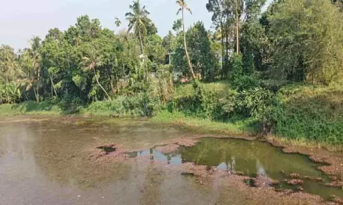 Kerala: कुंदूर नहर के निर्माण और संरक्षण के लिए 20 लाख रुपये