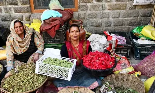Himachal: दादी-नानी से सीखें, जंगली खाने वाले पौधों की मौखिक परंपराएं