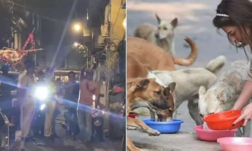 Mumbai : आवारा बिल्लियों को खाना खिला रही महिला को परेशान करने के आरोप में आदमी पर केस दर्ज Mumbai : आवारा बिल्लियों को खाना खिला रही महिला को परेशान करने के आरोप में आदमी पर केस दर्ज