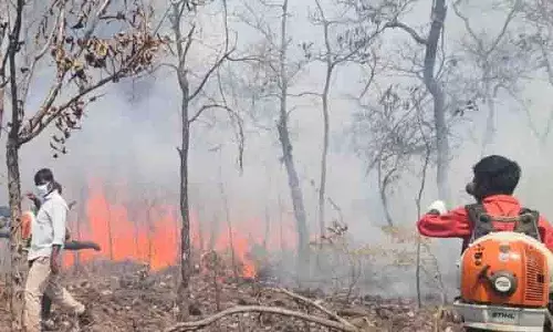 Nagarkurnool के नलमल्ला जंगल में 30 हेक्टेयर में आग लगी