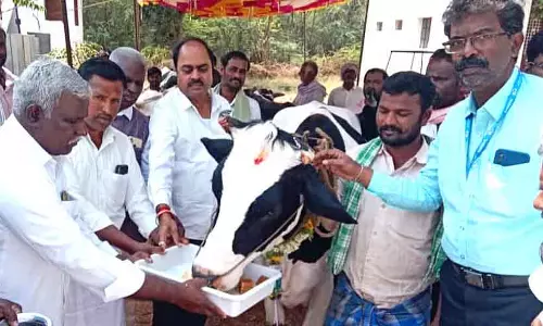 डेयरी फार्मिंग के ज़रिए आर्थिक विकास: Sanjeev Murthy डेयरी फार्मिंग के ज़रिए आर्थिक विकास: Sanjeev Murthy