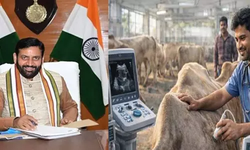 Hisar: हरियाणा सरकार ने पशु स्वास्थ्य सेवाओं को किया मजबूत Hisar: हरियाणा सरकार ने पशु स्वास्थ्य सेवाओं को किया मजबूत