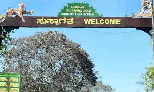 Bandipur और नागरहोल टाइगर रिज़र्व में जंगल सफारी फिर से शुरू, मंत्री ने दिया आदेश Bandipur और नागरहोल टाइगर रिज़र्व में जंगल सफारी फिर से शुरू, मंत्री ने दिया आदेश