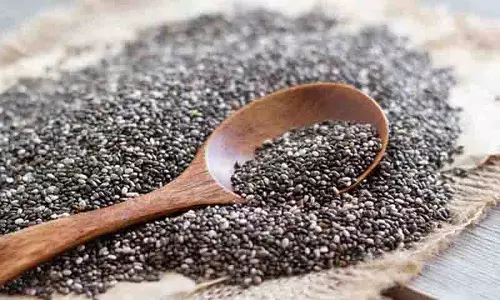 अगर आप Chia Seeds ले रहे हैं तो ये बातें ज़रूर जान लें अगर आप Chia Seeds ले रहे हैं तो ये बातें ज़रूर जान लें