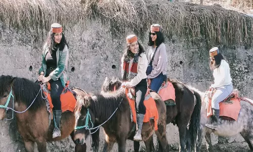 Kufri में सर्दियों में पर्यटकों की बढ़ती आमद, स्थानीय पर्यटन व्यवसायियों को लाभ