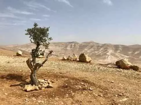 भारत समेत 100 से ज़्यादा देशों ने वेस्ट बैंक में Israel के ‘एकतरफ़ा’ फ़ैसलों की निंदा की भारत समेत 100 से ज़्यादा देशों ने वेस्ट बैंक में Israel के ‘एकतरफ़ा’ फ़ैसलों की निंदा की