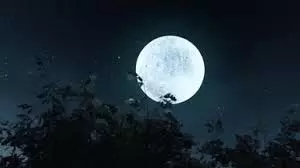 Dharma: कब है पूर्णिमा, गलती से बचने के लिए जान लें सही तारीख और स्नान-दान का समय Dharma: कब है पूर्णिमा, गलती से बचने के लिए जान लें सही तारीख और स्नान-दान का समय