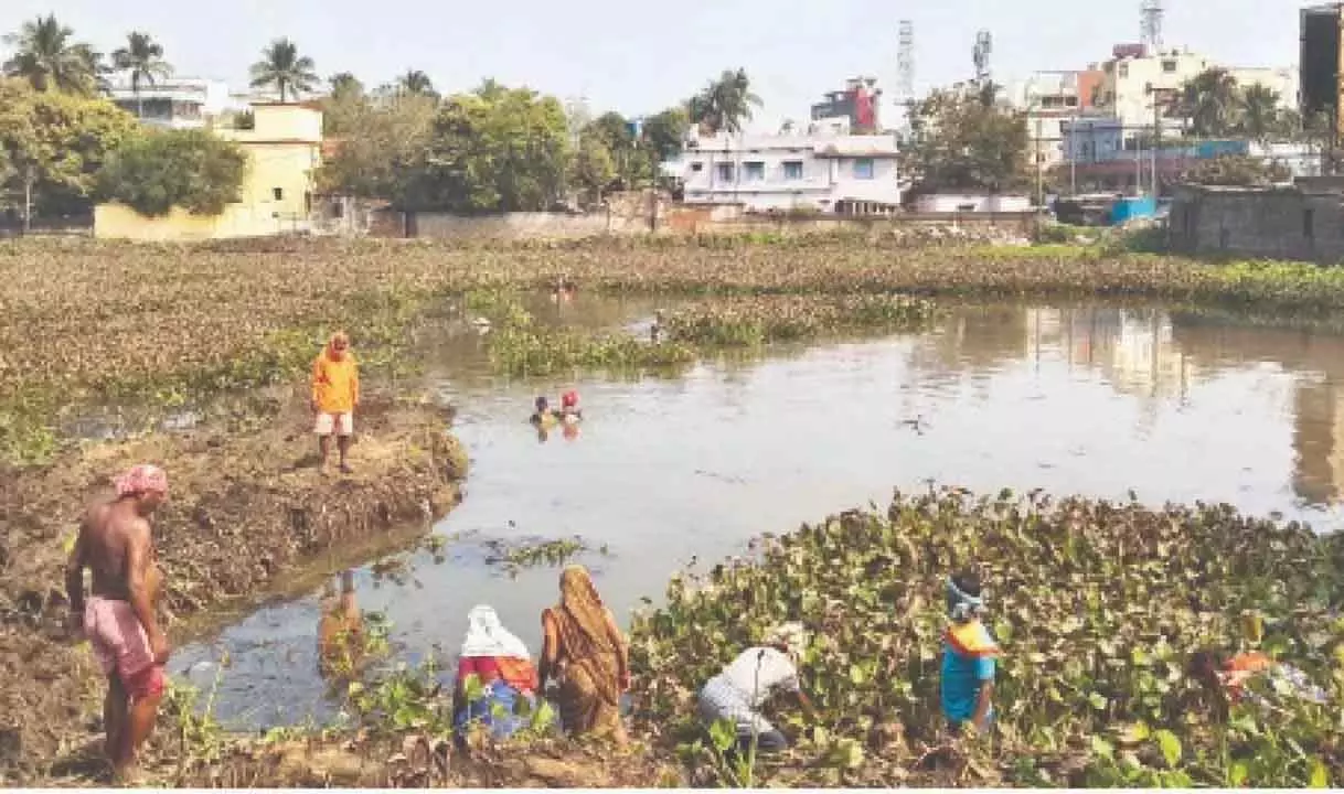 Odisha : भुवनेश्वर में ऐतिहासिक तालाब को ठीक करने में नगर निगम नाकाम, निवासियों ने हस्तक्षेप किया Odisha : भुवनेश्वर में ऐतिहासिक तालाब को ठीक करने में नगर निगम नाकाम, निवासियों ने हस्तक्षेप किया