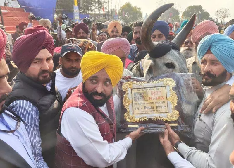किला रायपुर गेम्स, Punjab CM ने उस बैल को सम्मानित किया जिसने दो साल तक इनाम जीते किला रायपुर गेम्स, Punjab CM ने उस बैल को सम्मानित किया जिसने दो साल तक इनाम जीते